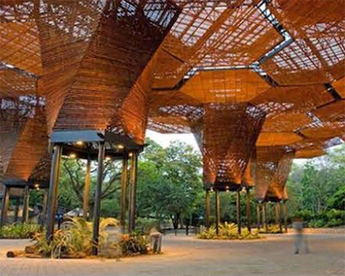 Starbucks, Medellín Market, Intelligence & Resource Guide