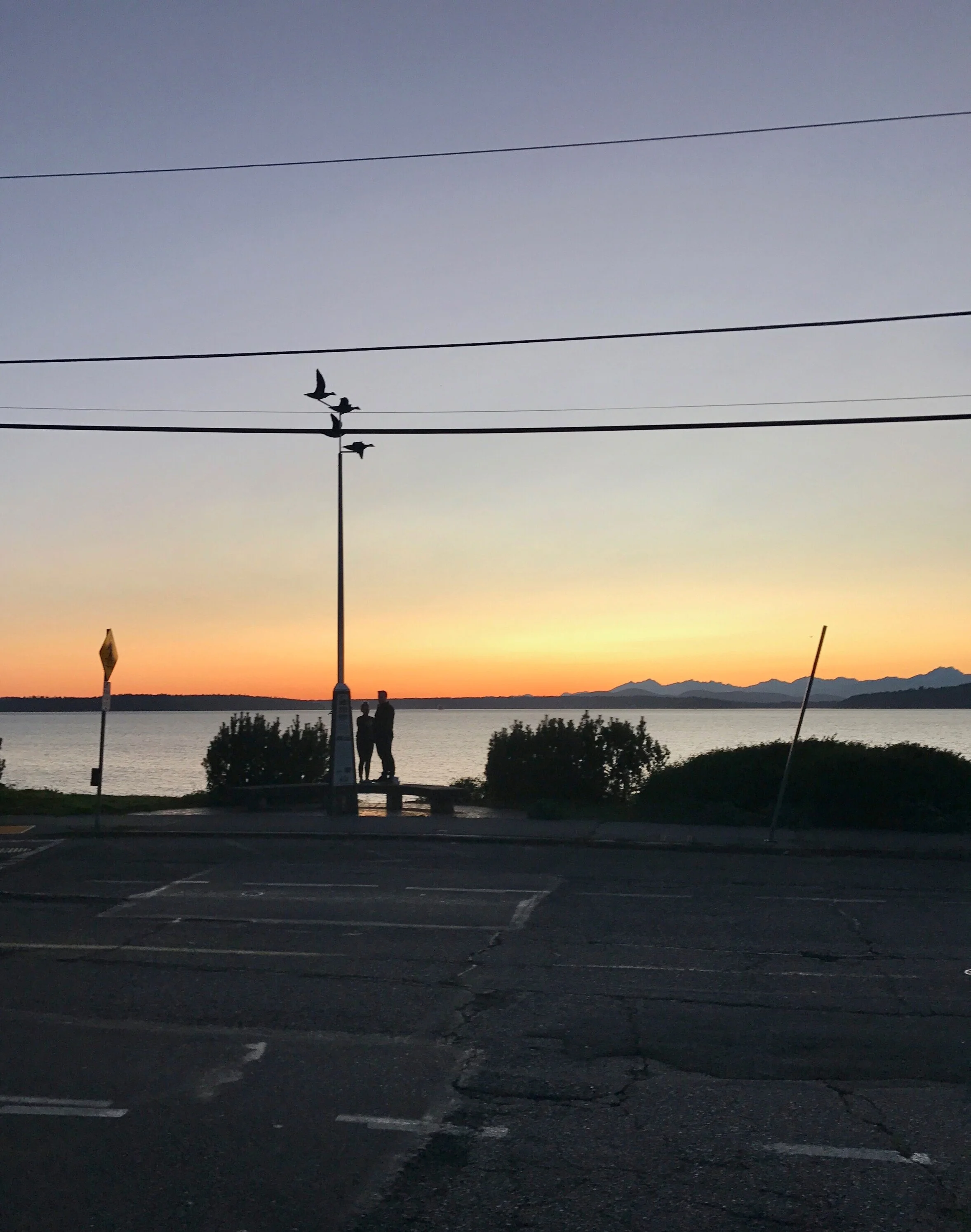 Starbucks, Vancouver Market Intelligence & Resource Guide