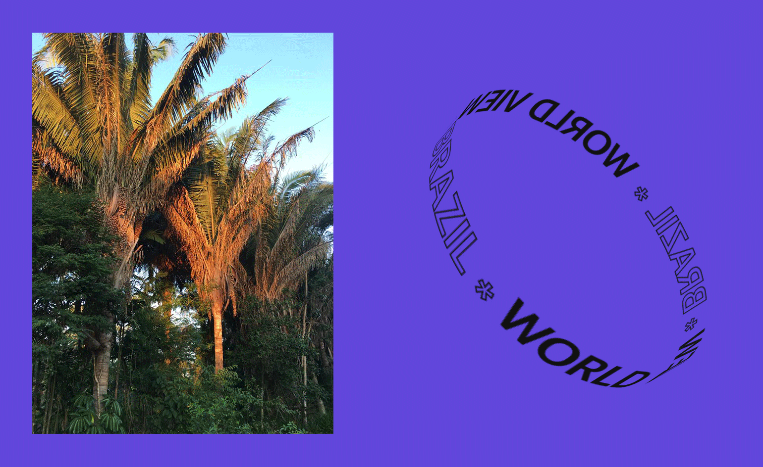 World View: Letter from Brazil by Scott Mitchem
