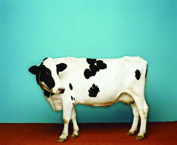 Gateway Computers, Flagship Retail Strategy