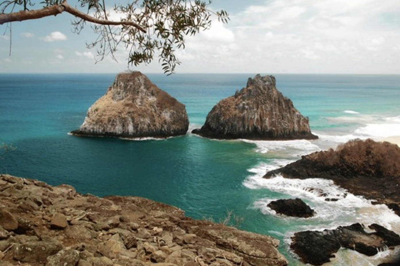 Screen Shot 2022-09-14 at 1.47.40 PM.png