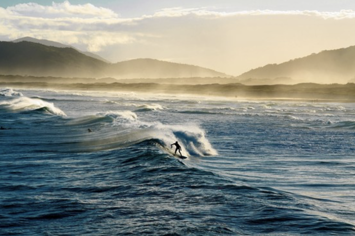 Screen Shot 2022-09-14 at 1.48.00 PM.png