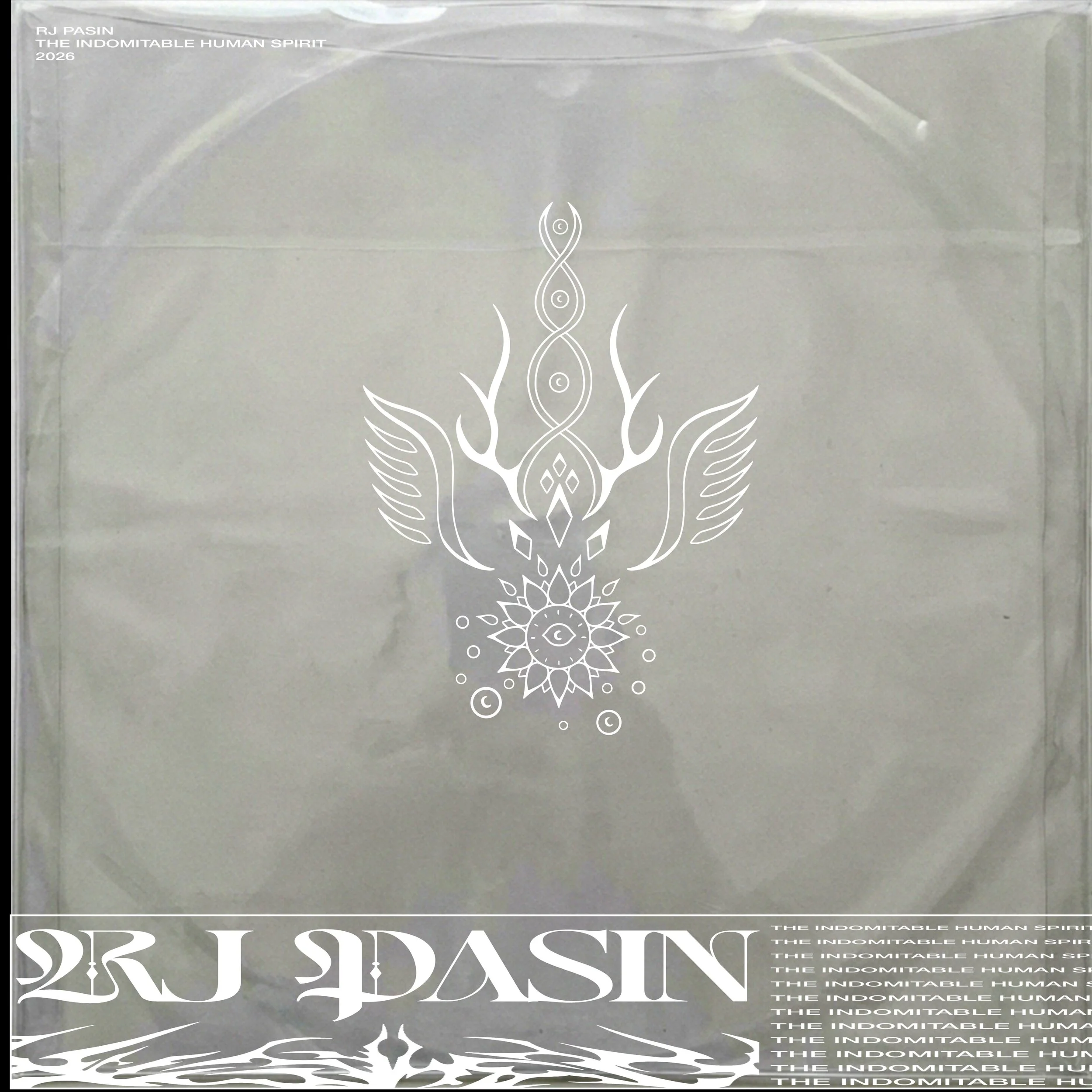 Disc Sleeve.jpg