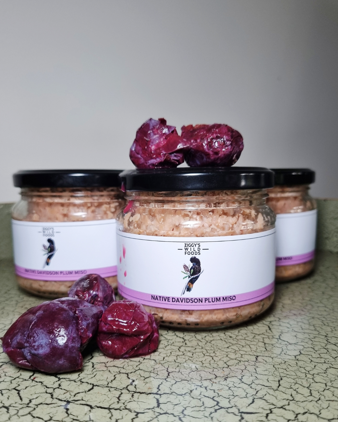 Native Davidson Plum Miso — Ziggy's Wildfoods