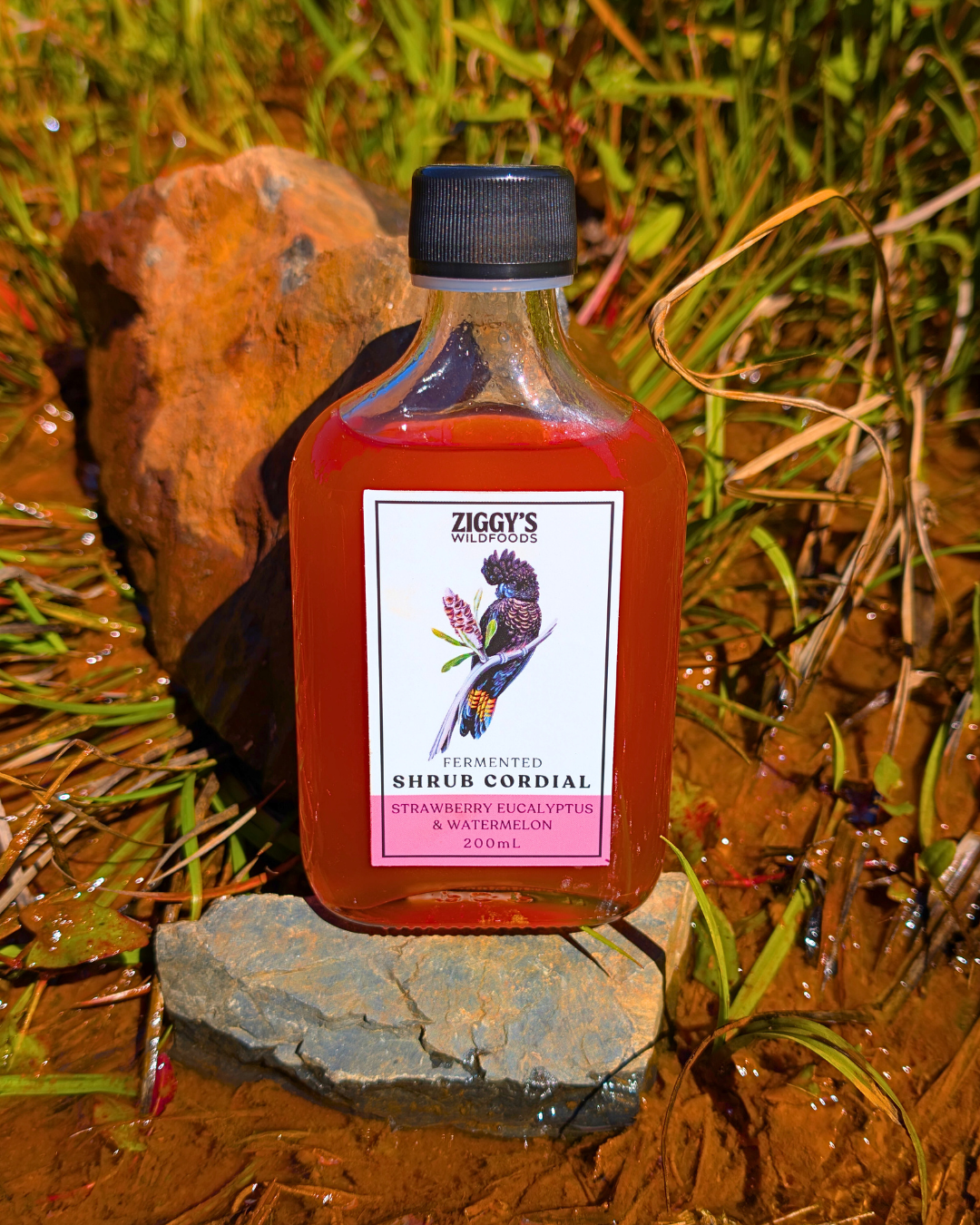 Strawberry Eucalyptus & Watermelon Cocktail Shrub