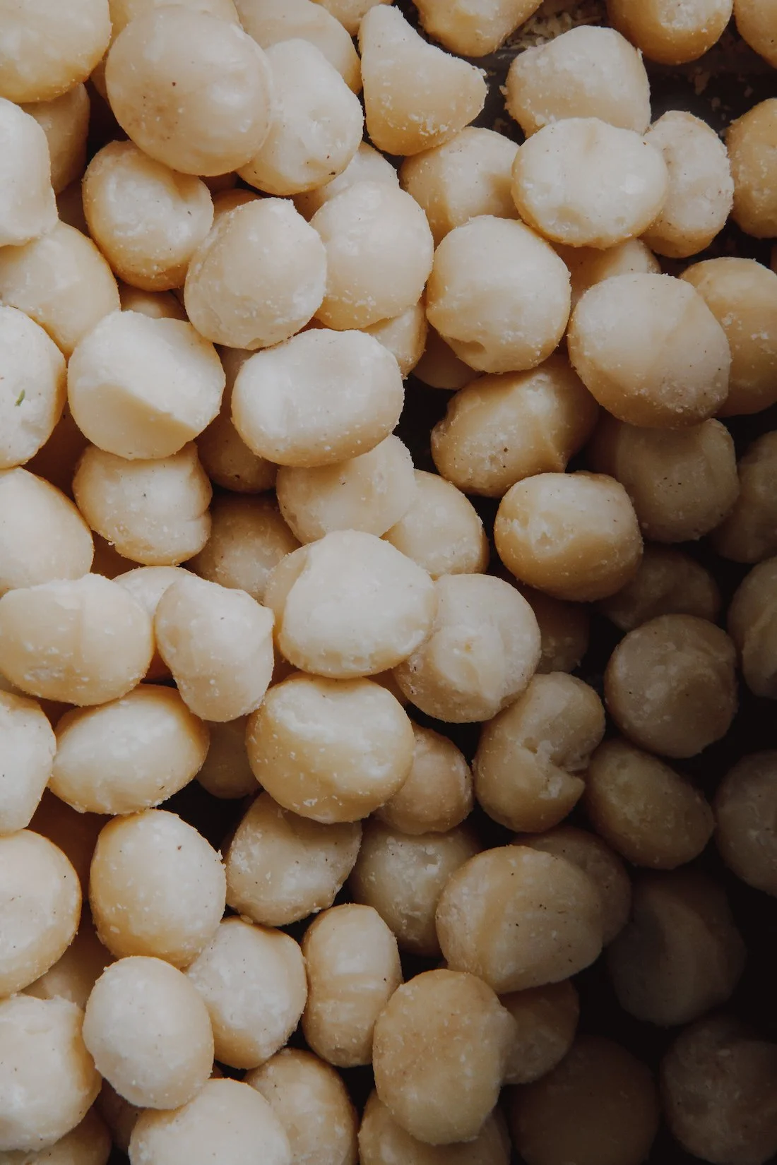 Ingredient_-_Macadamia_-_DISCOVERED_ZIGGY_GALAH_MARCH2021_DUNCOGRAPHIC-23 (1).jpg