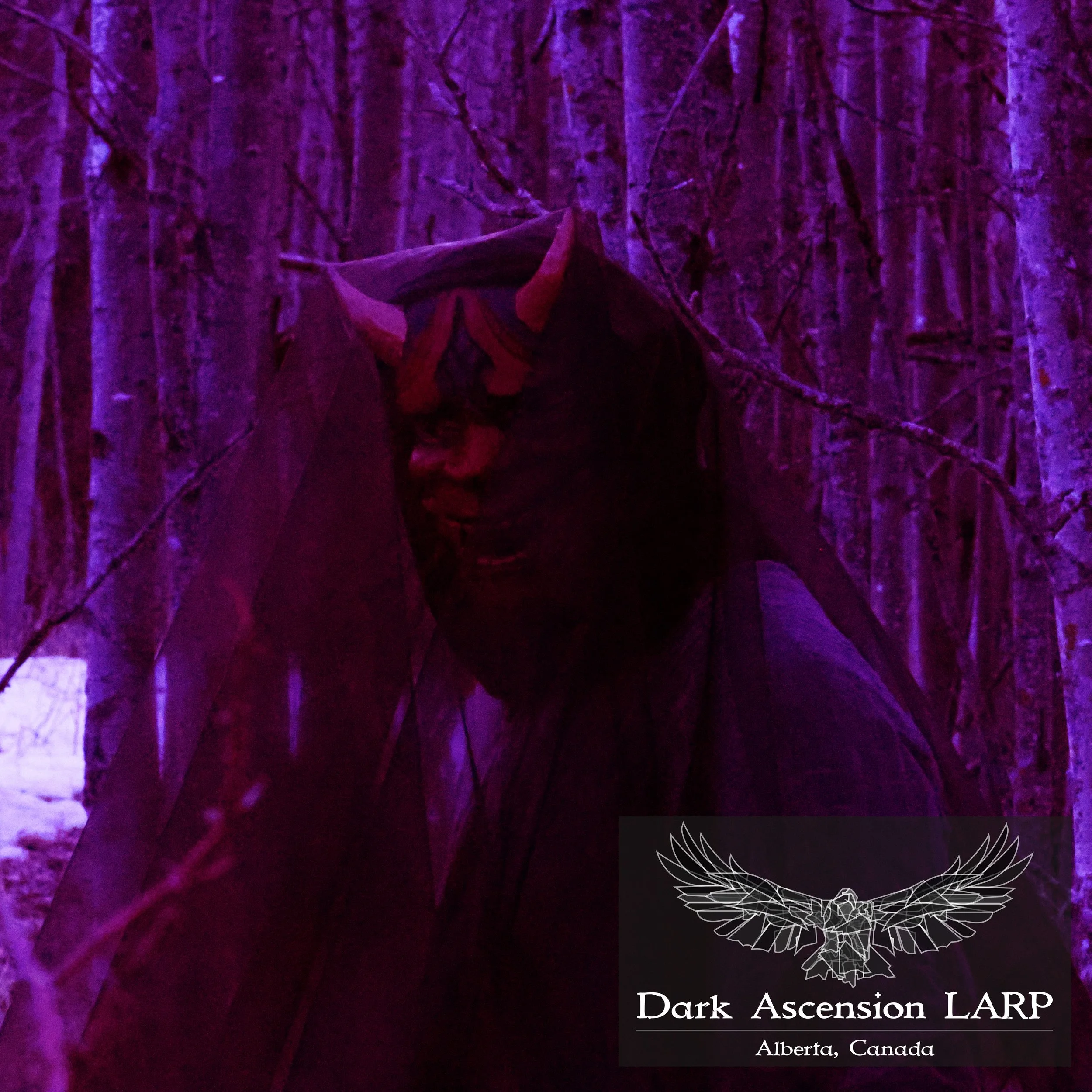 A dark scene of purple and black trees with a moth perched on a tree trunk. Contains a logo for Dark Ascension LARP, Alberta, Canada.