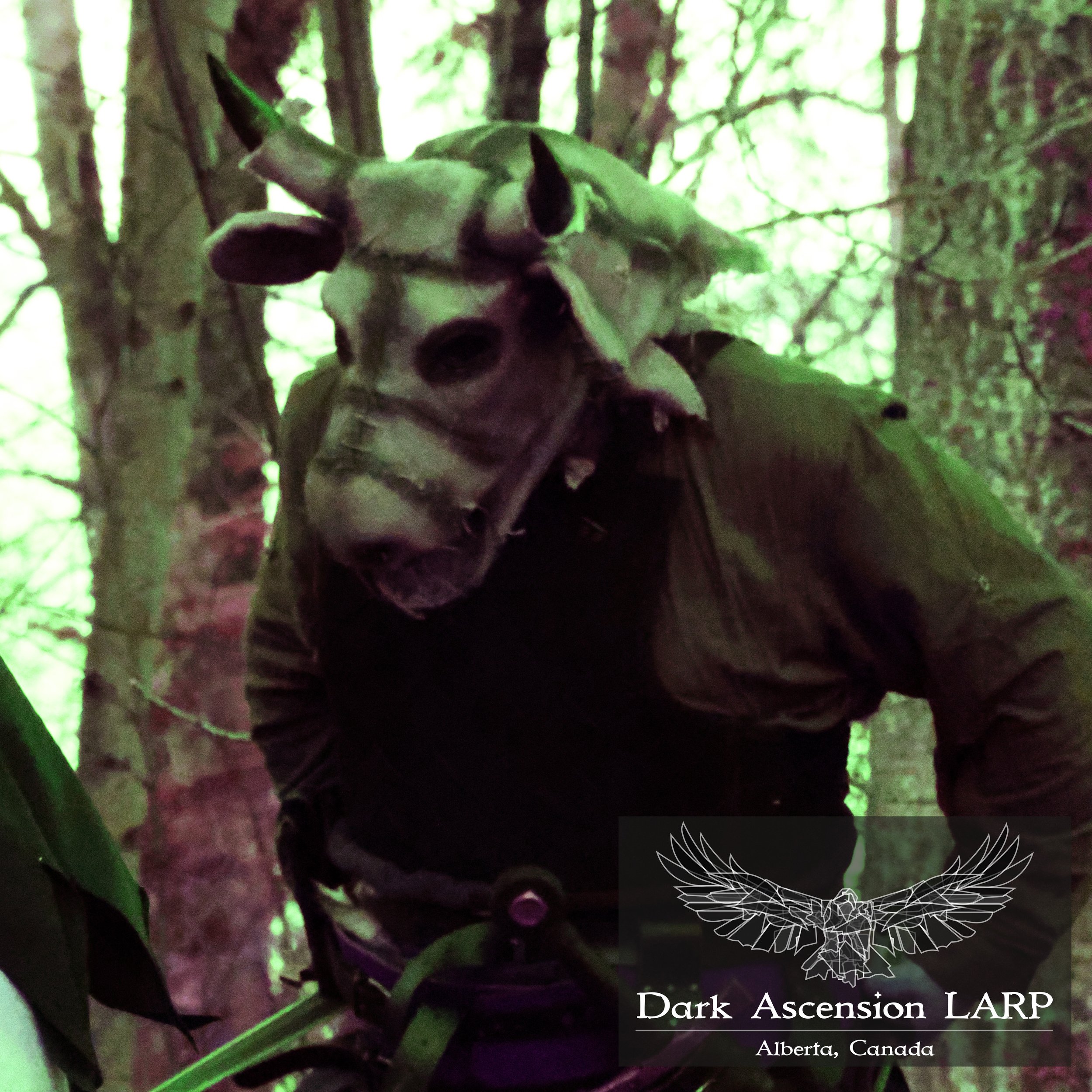 Close-up of a moth resting on a tree trunk surrounded by green foliage in a forest, with a logo and text that reads 'Dark Ascension LARP Alberta, Canada' in the lower right corner.