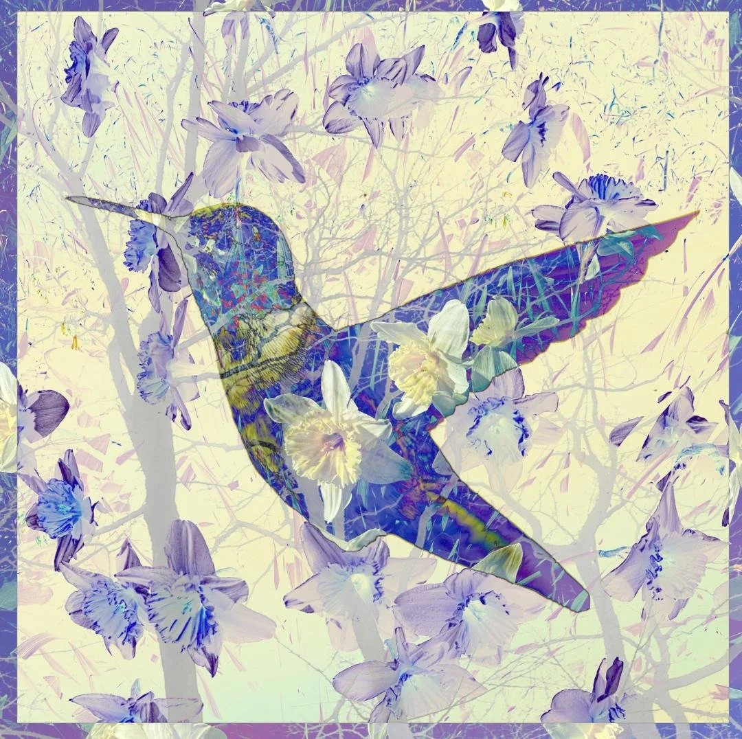 Kristin Ashley | Affiliate Artist | Montage