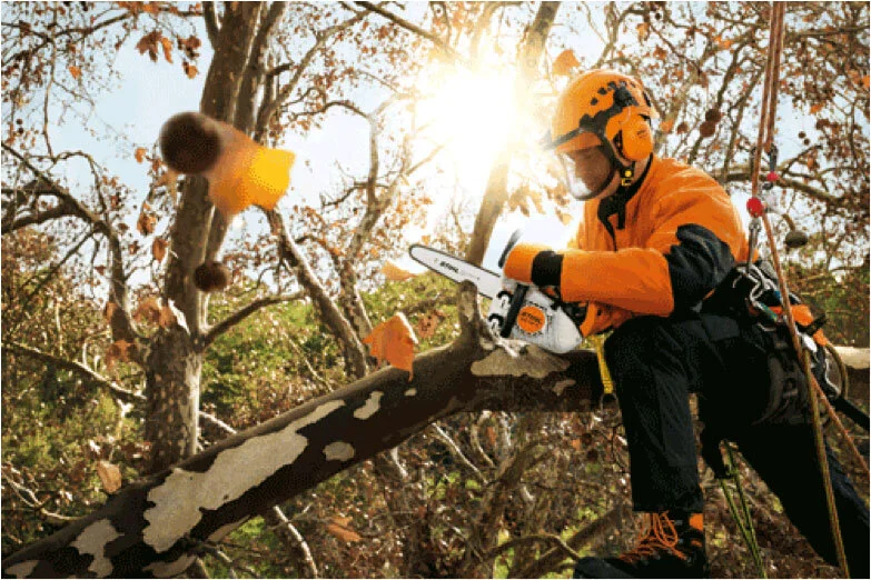 chainsaw-best-practice.jpg