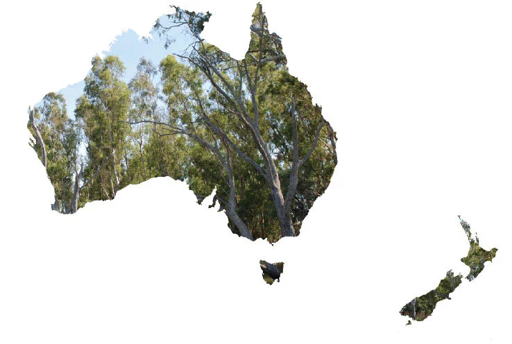 aus-nz-tree-map.jpg