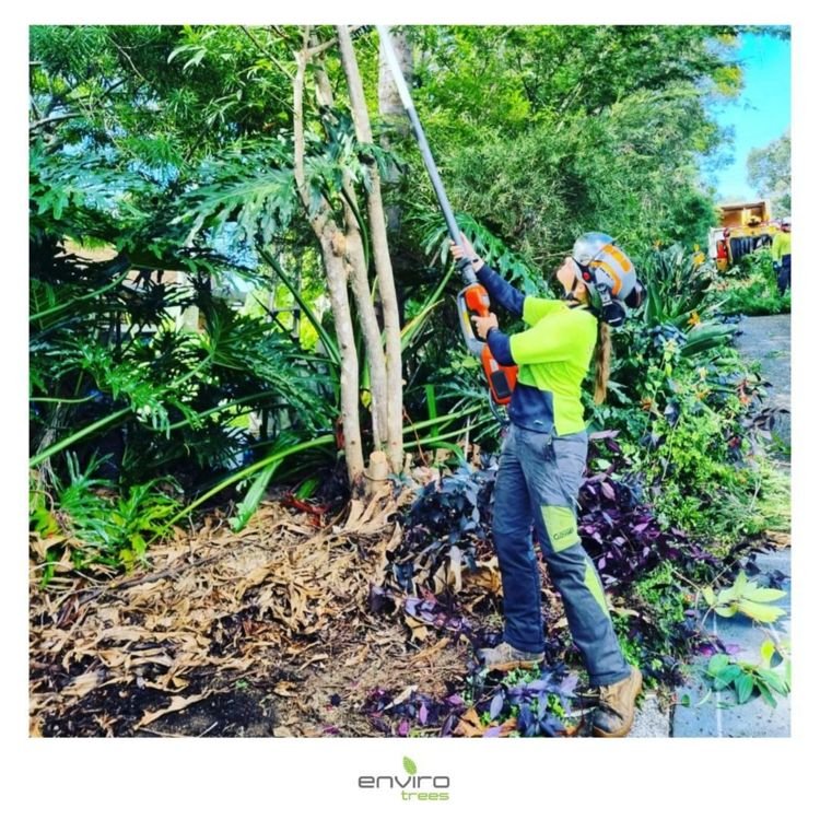WOMEN IN ARBORICULTURE & DIVERSITY