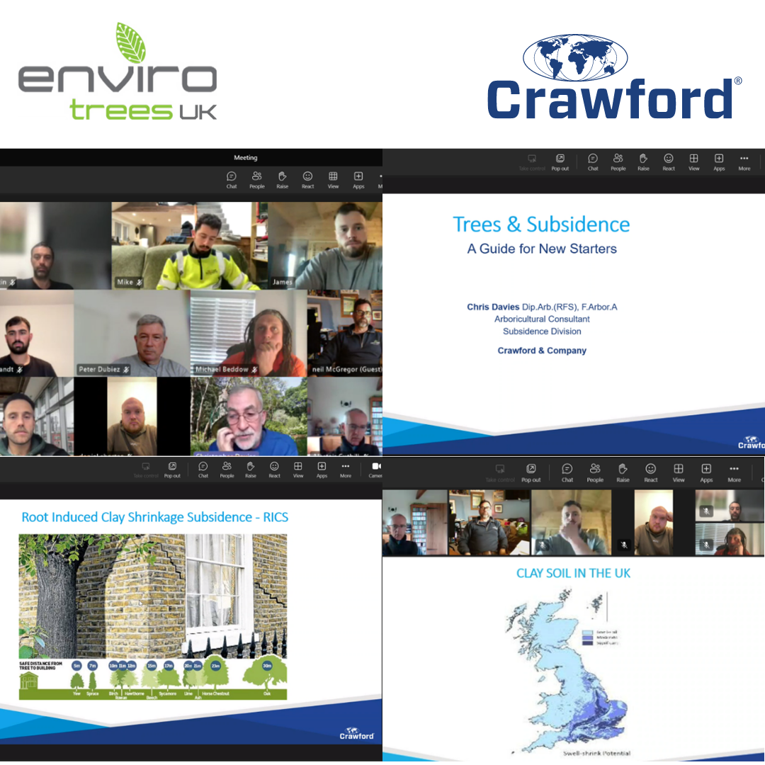 ENVIRO UK TREEPARTNERS UNDERTAKE SUBSIDENCE TRAINING WITH CRAWFORD