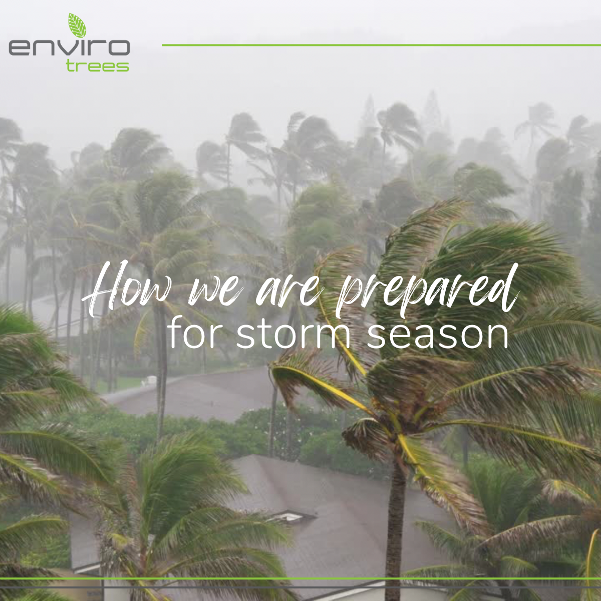 UPDATE ON STORM SEASON