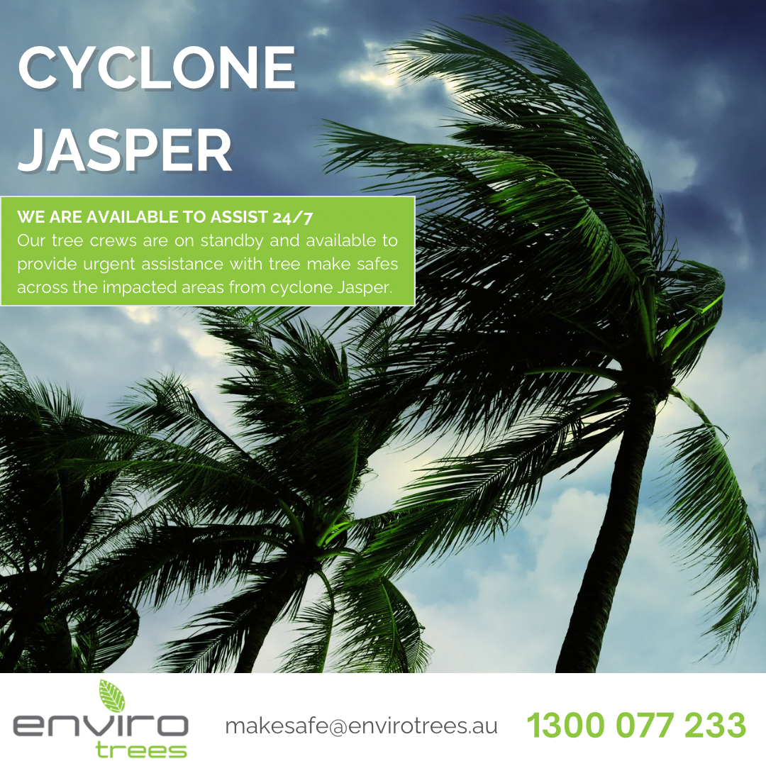 CYCLONE JASPER