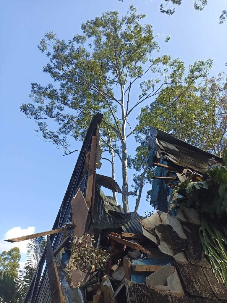 TM 22465 - Tanglewood Drive - After 2.jpeg