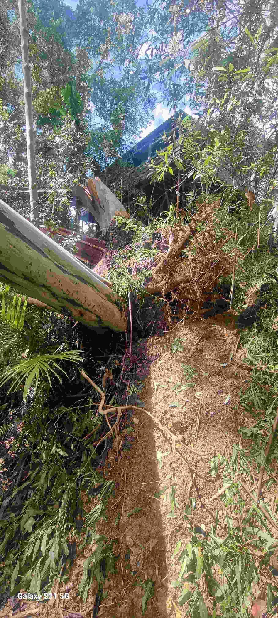 TM 22623 - 34 Tanglewood Drive - Before 3.jpeg