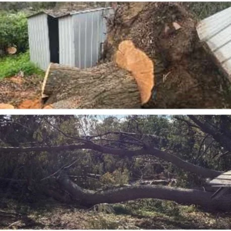 Weather events: Withers, WA