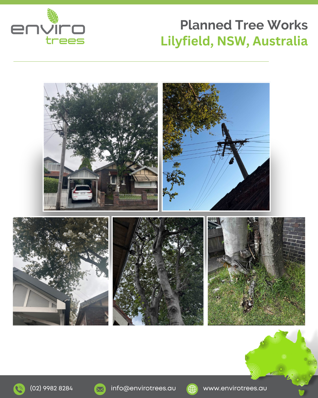 Planned tree works, lilyfield nsw