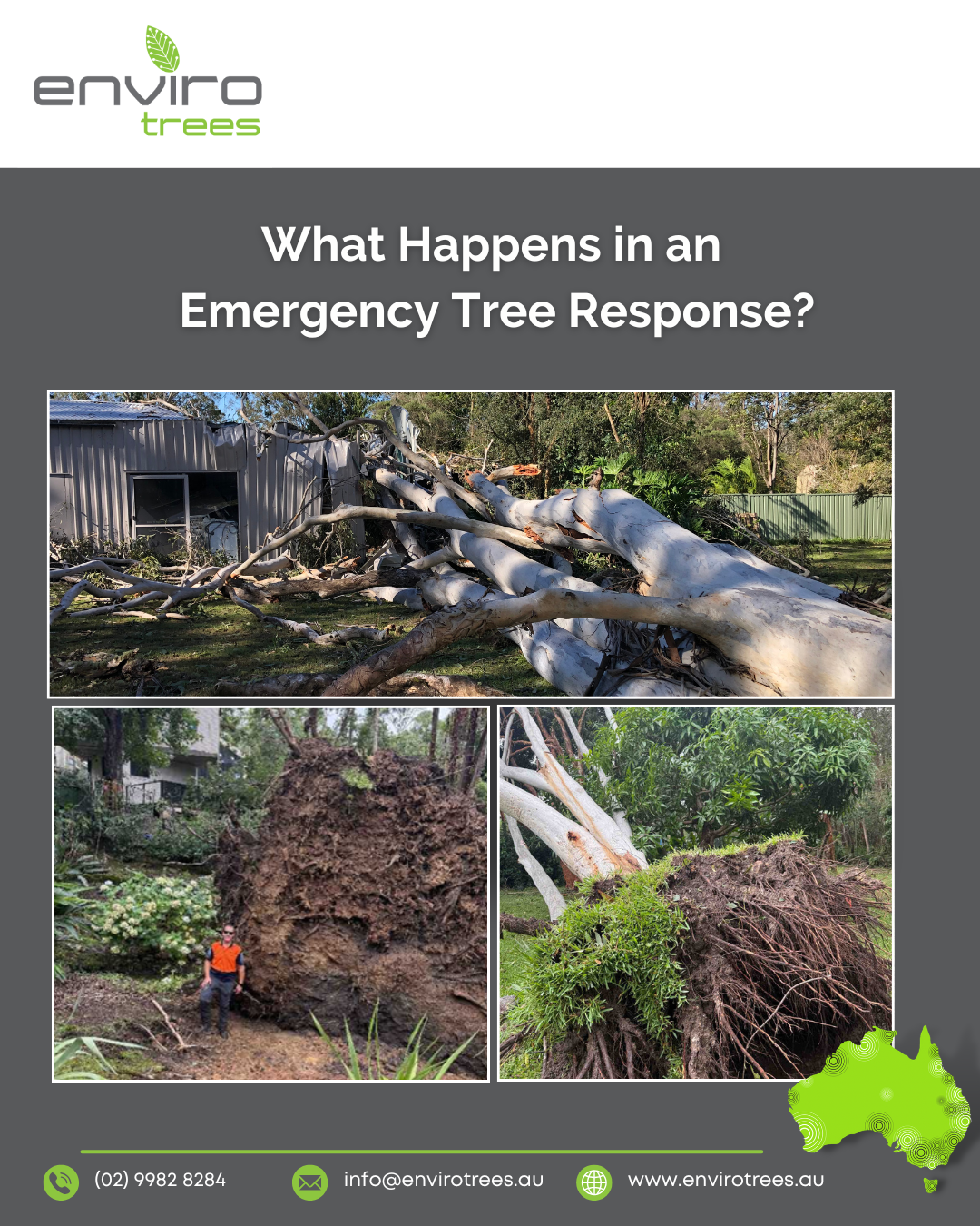 What Happens in an Emergency Tree Response?