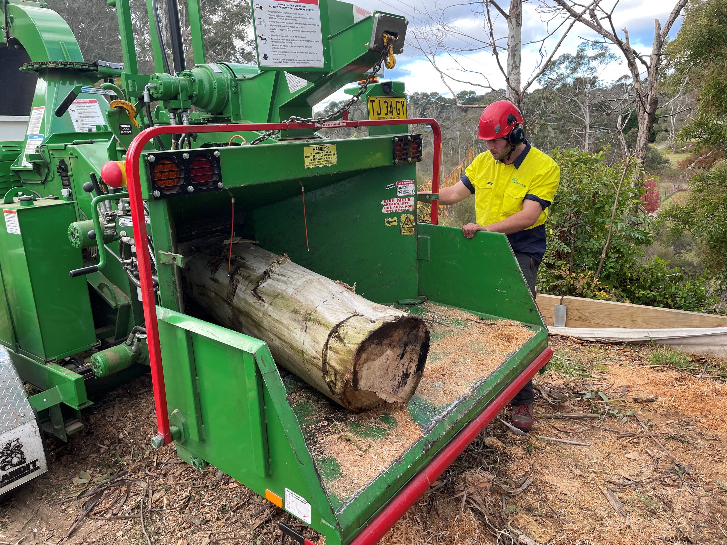 What Happens in an Emergency Tree Response? — Enviro Trees