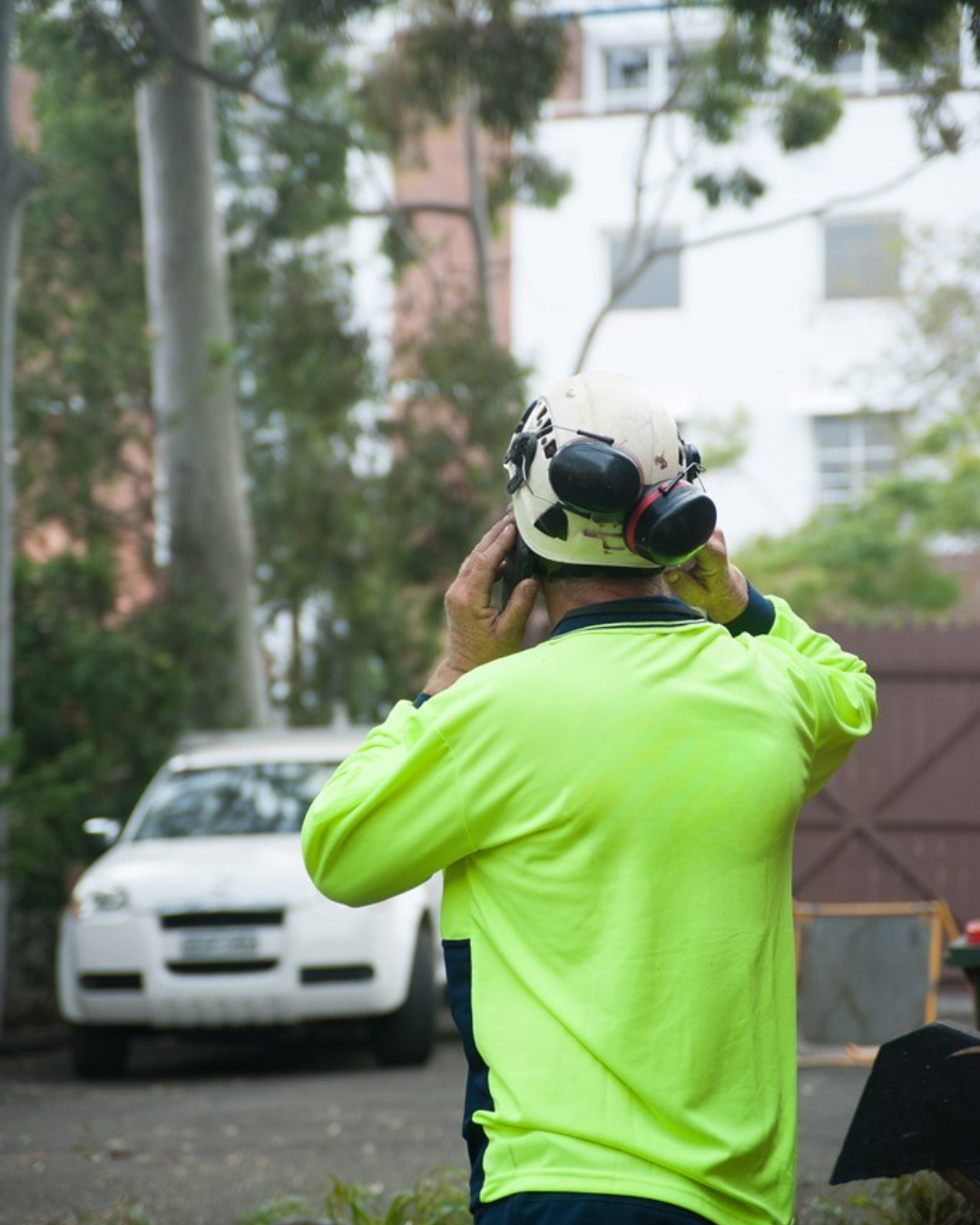 New Vic Statewide Tree Removal Permit Requirements