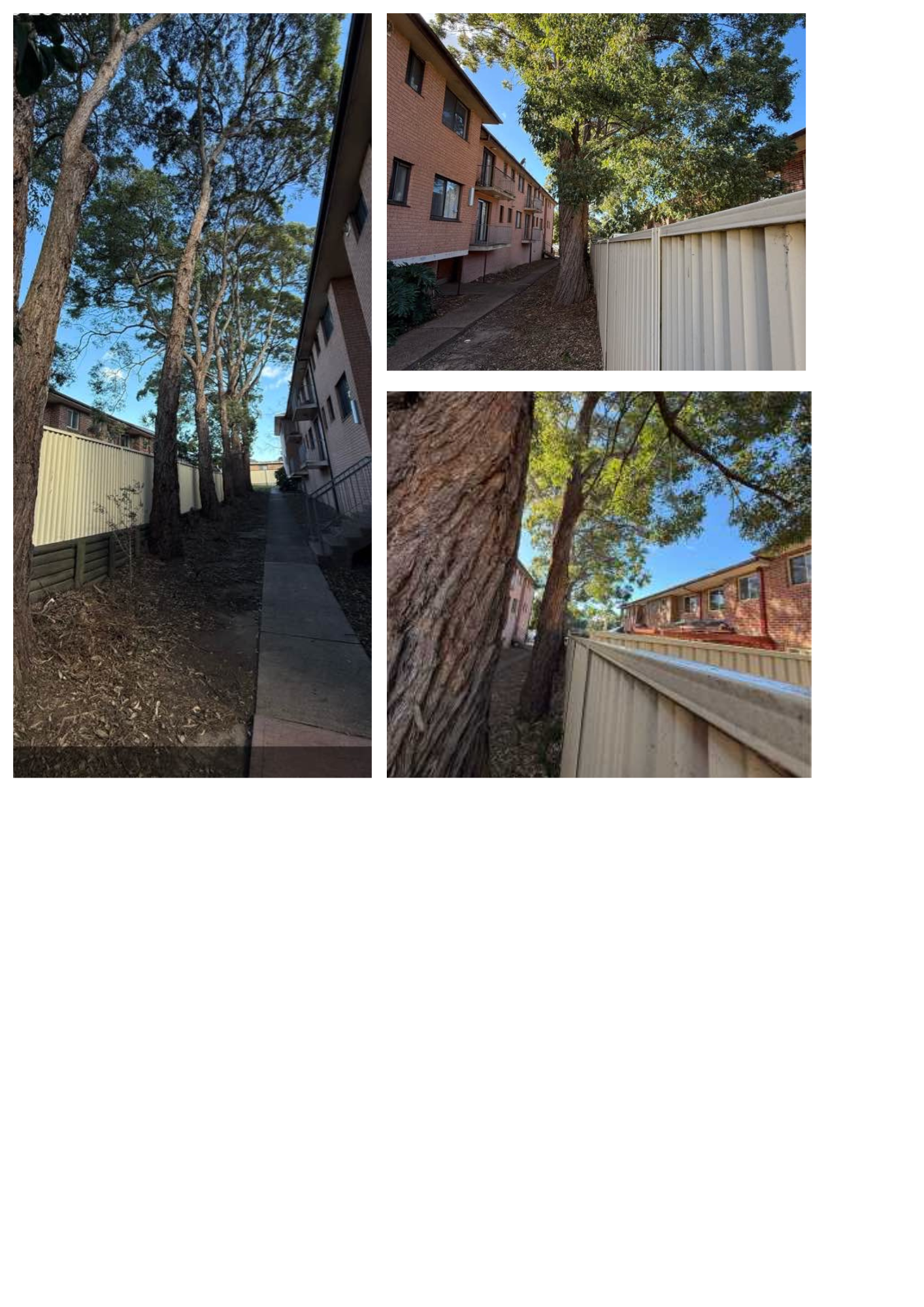 Facility maintenance, Canada Bay NSW