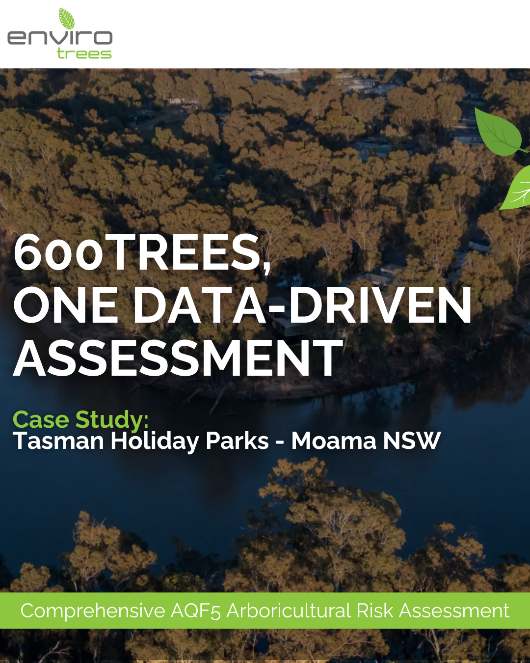Arborist Consulting, Moama NSW
