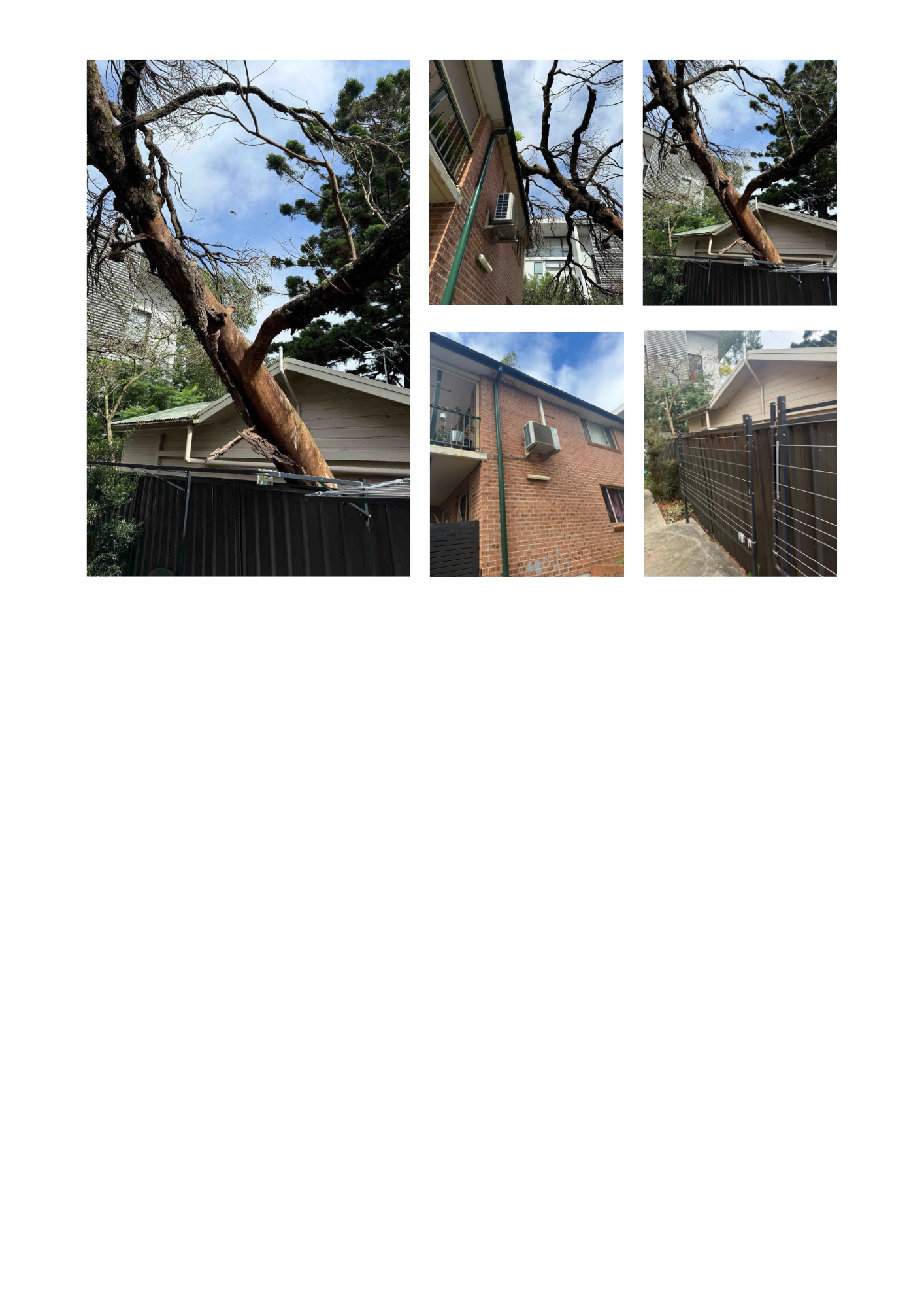 Emergency Make Safe - Dulwich Hill, NSW 