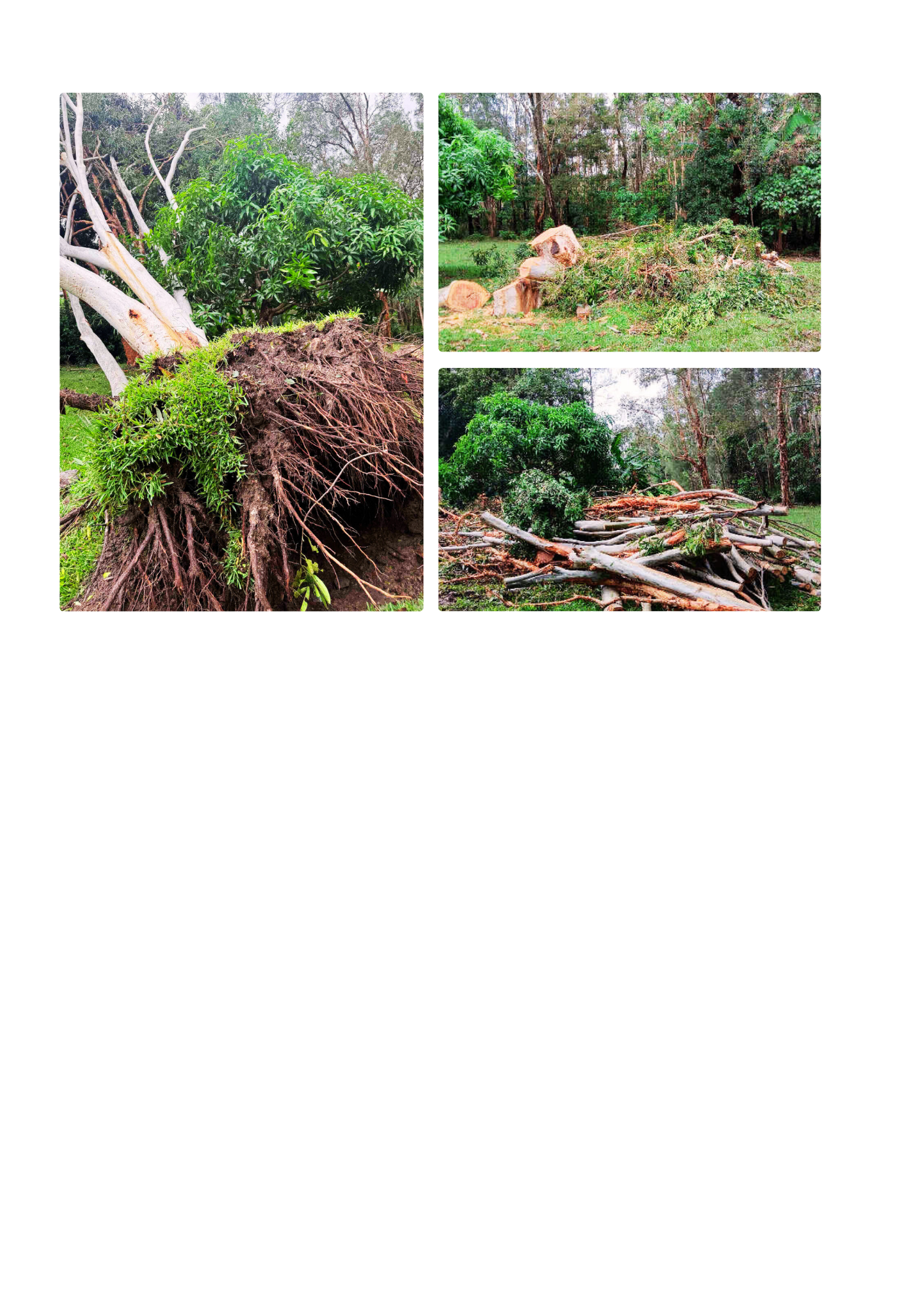 Emergency Make Safe - Pottsville, NSW