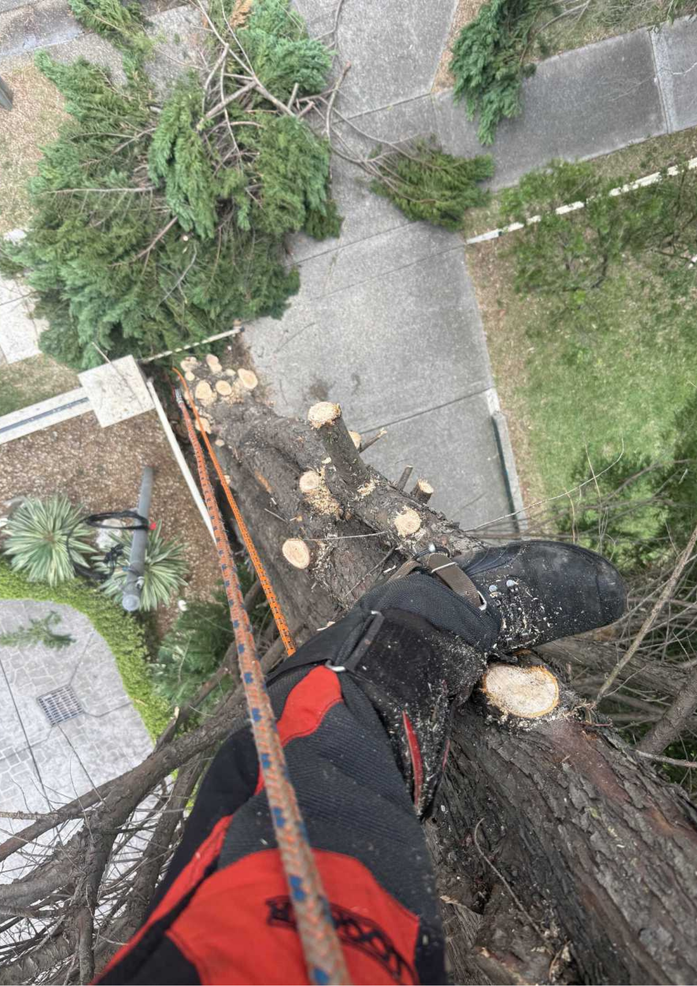 Emergency Make Safe - Belfield, NSW