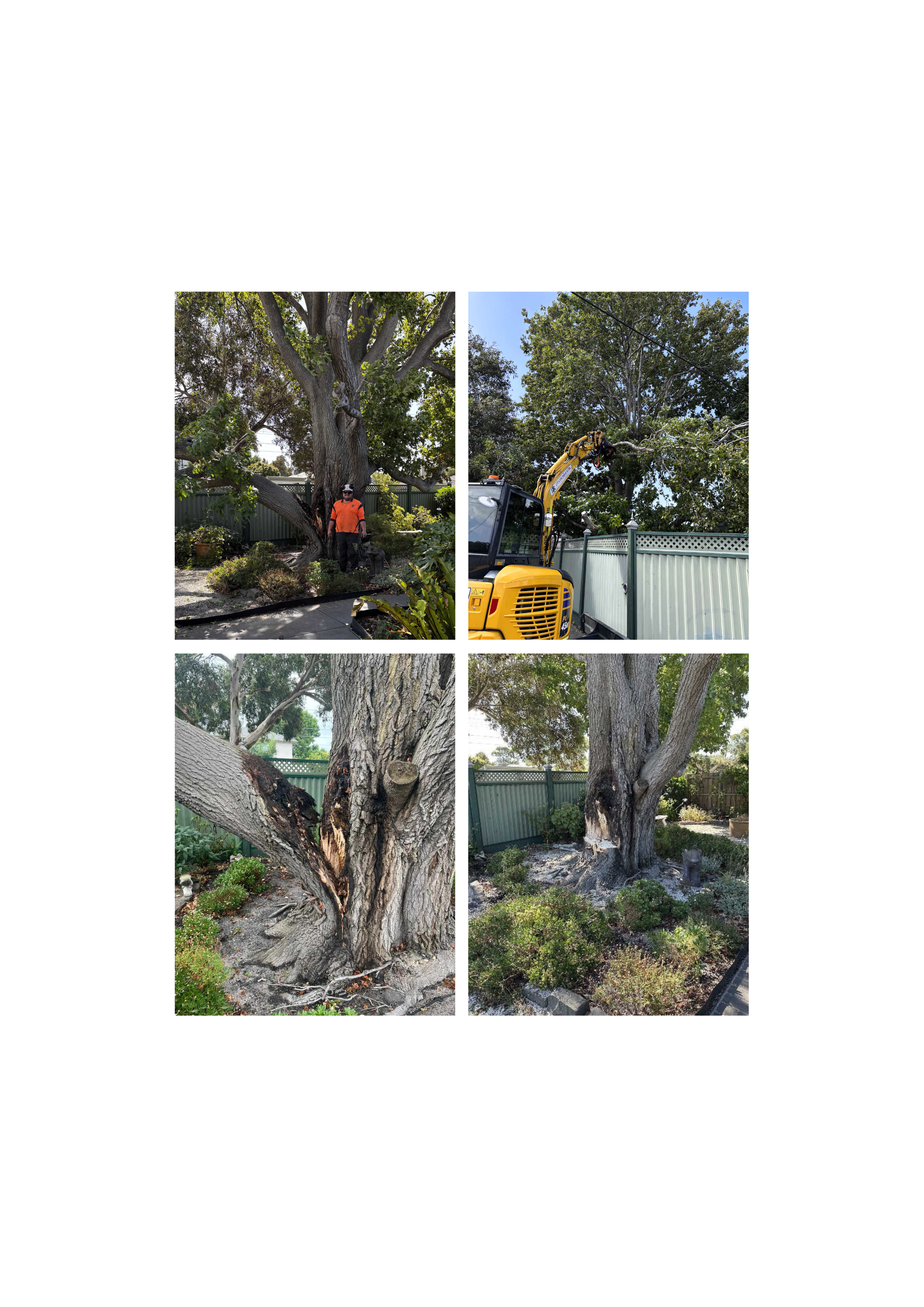 Emergency Make Safe - Mentone, VIC