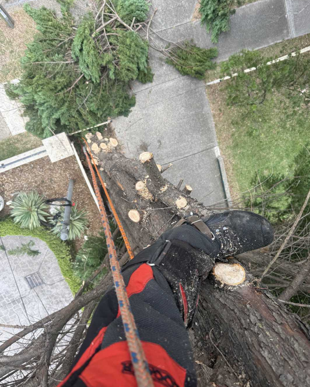 may 2026 - Aerial rescue