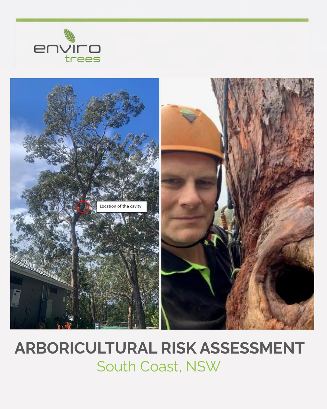 Arborist Consulting - Shell Harbour