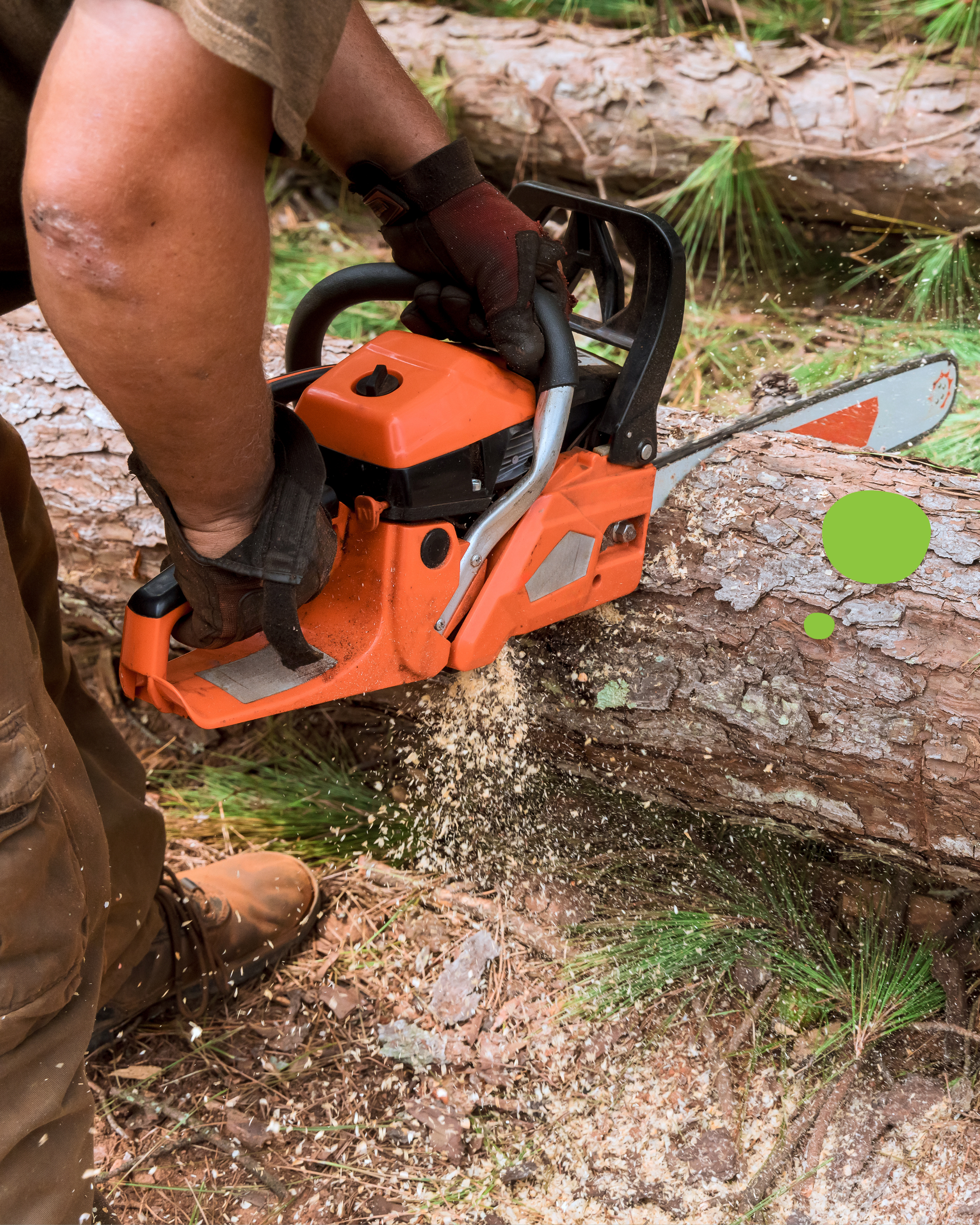 june 2026 - chainsaw safety