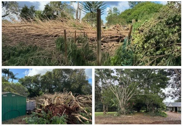 Insurance Claim Makesafe - Tamborine Mountain, QLD