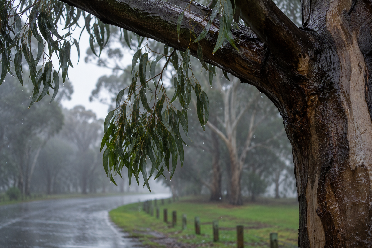 JULY 2026 - Cold and Wet conditions