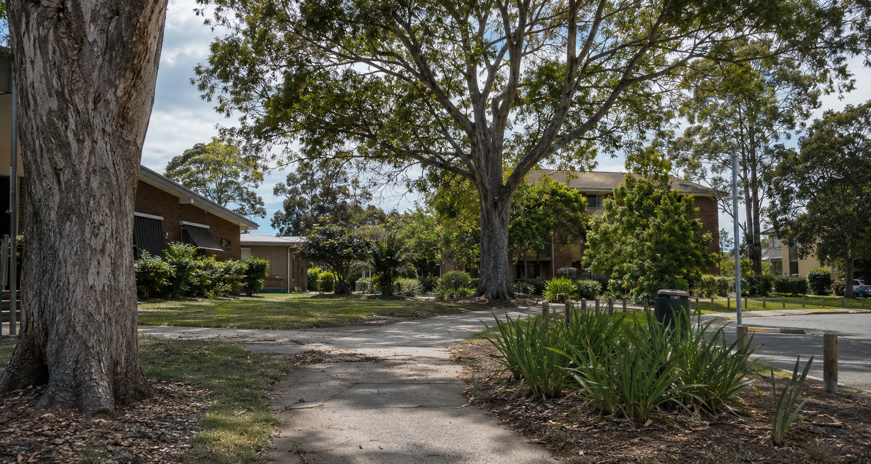 Tree Safety in Public Spaces