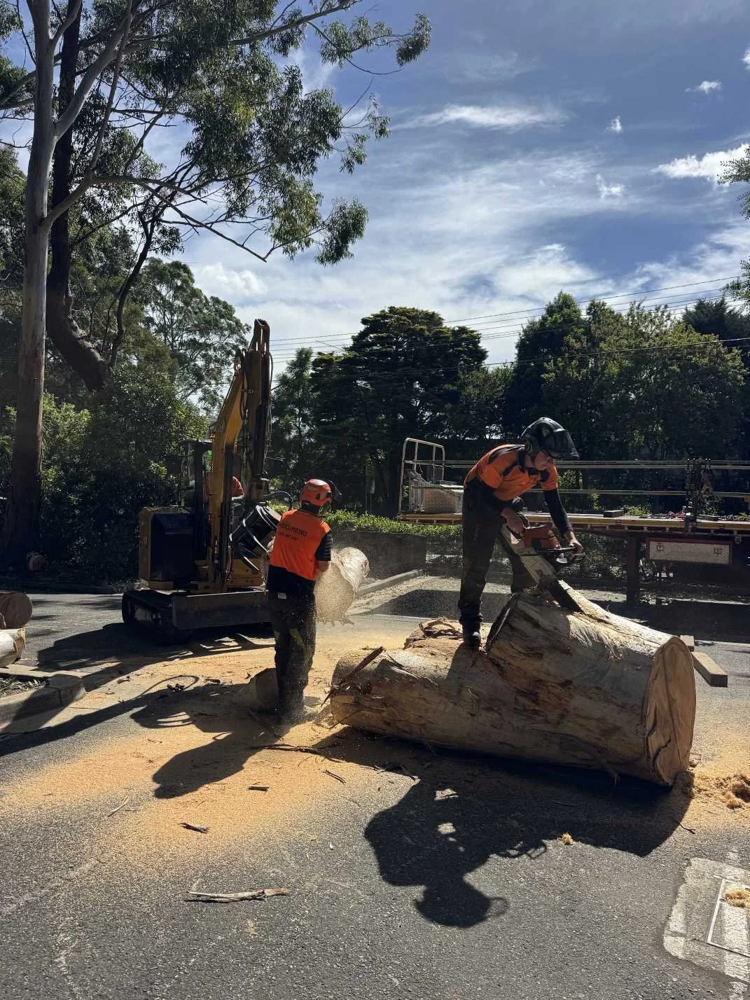 Managing Tree Risk within the Facilities Management industry