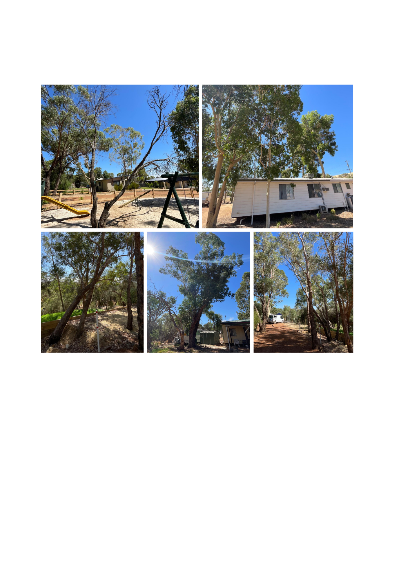 Arborist Consulting- Toodyay, WA Australia