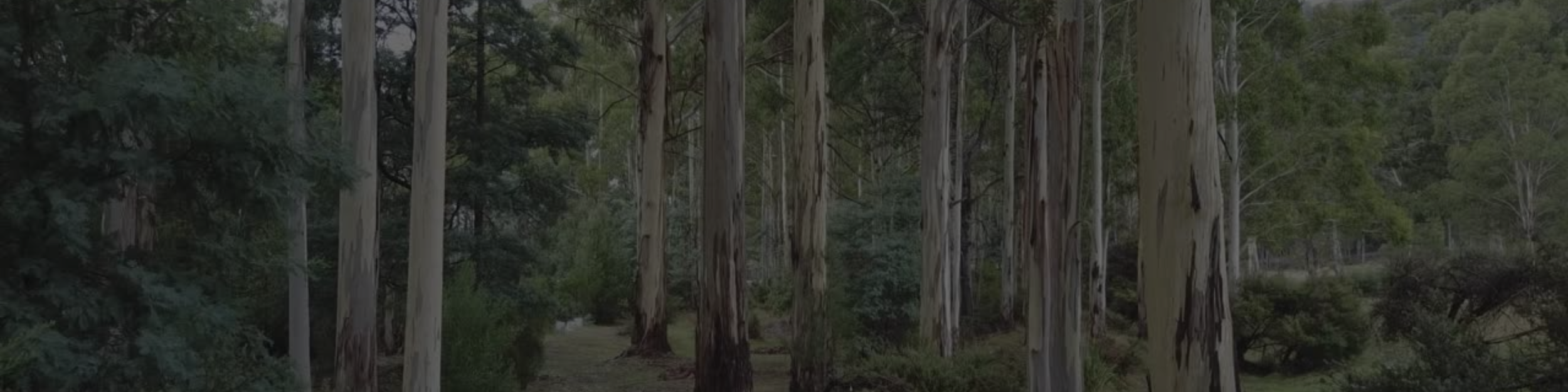 Tree Manager™ & Verifii | Award-Winning Arborist Technology — Enviro Trees