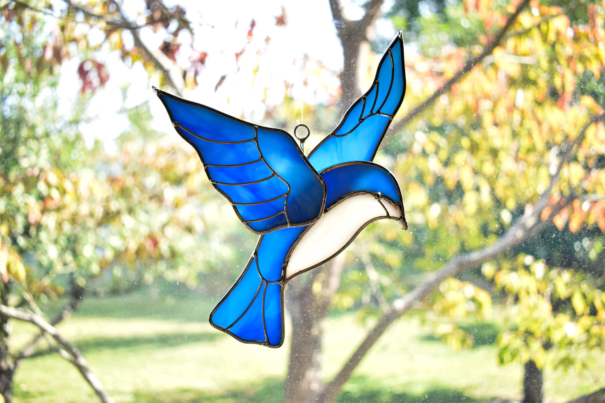 Bluebird Suncatcher 1.JPG