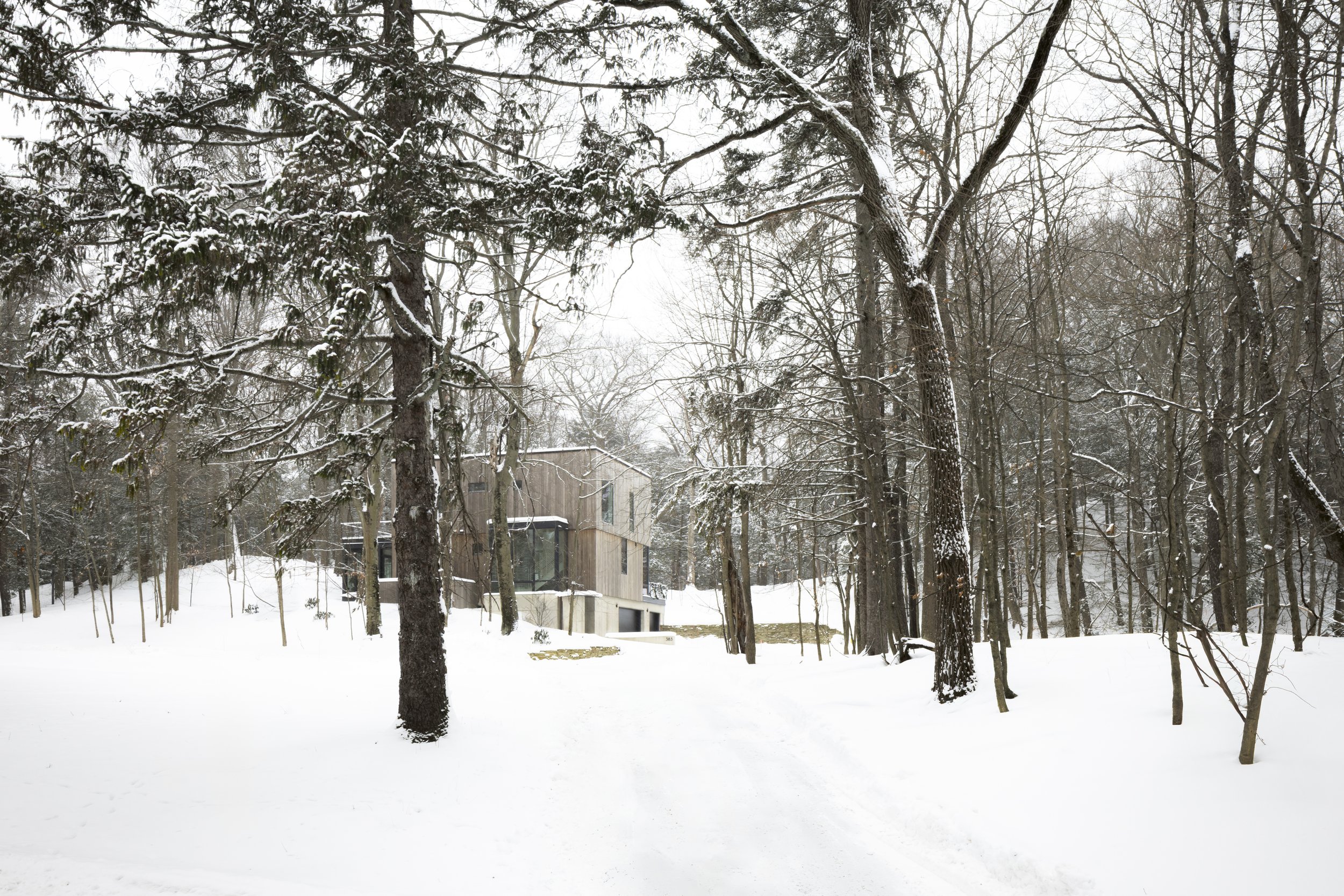 Dunegrass_Winter 03b_crop.jpg