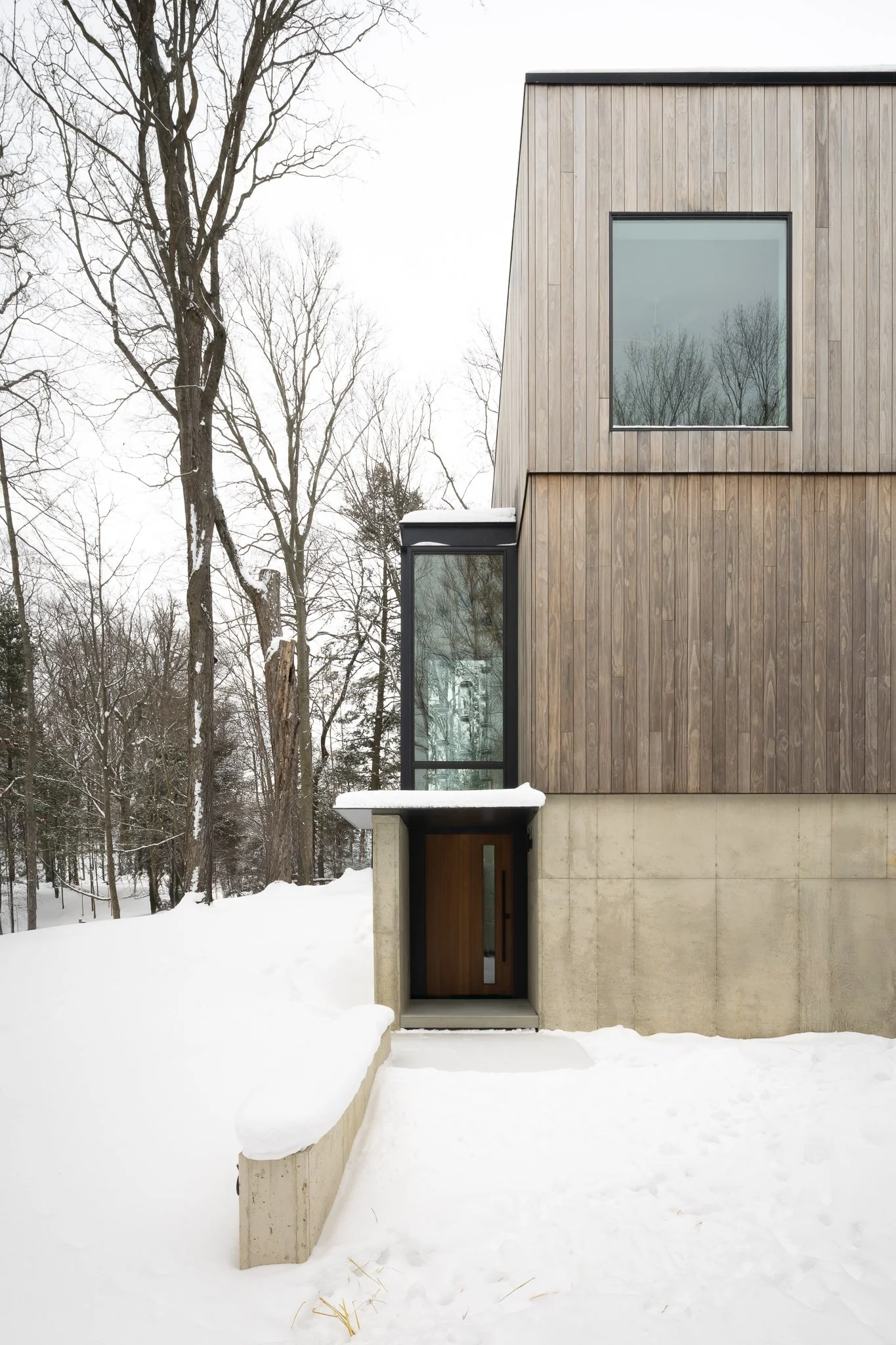 Dunegrass_Winter 07.jpg