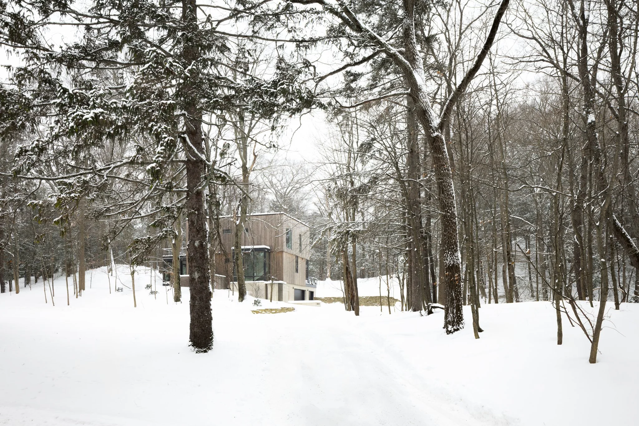 Dunegrass_Winter 03b_crop.jpg