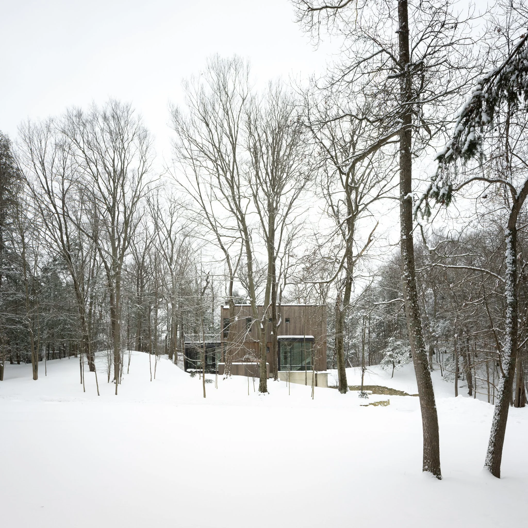 Dunegrass_Winter 01a.jpg