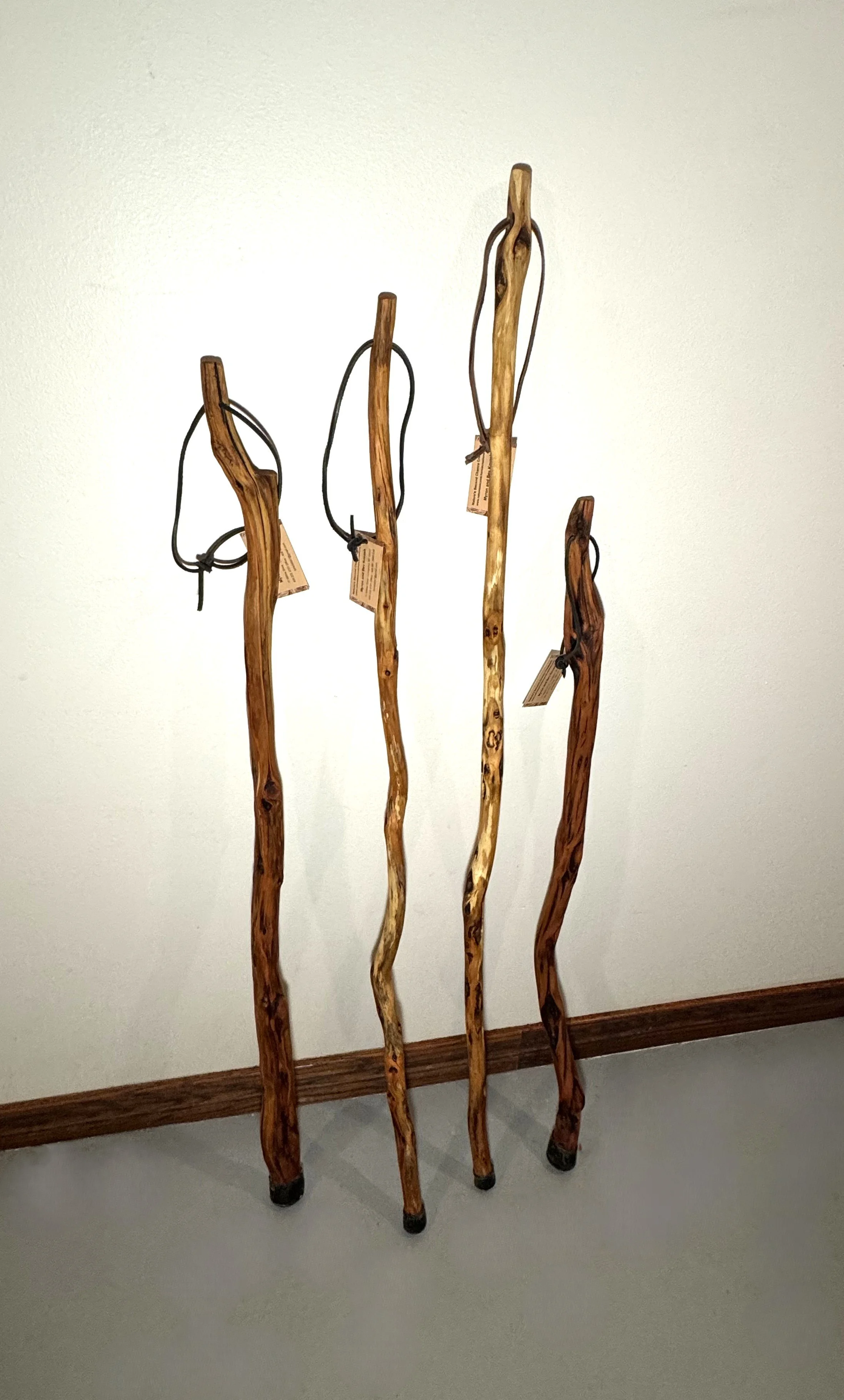 Figured Diamond Willow Walking/Hiking Sticks