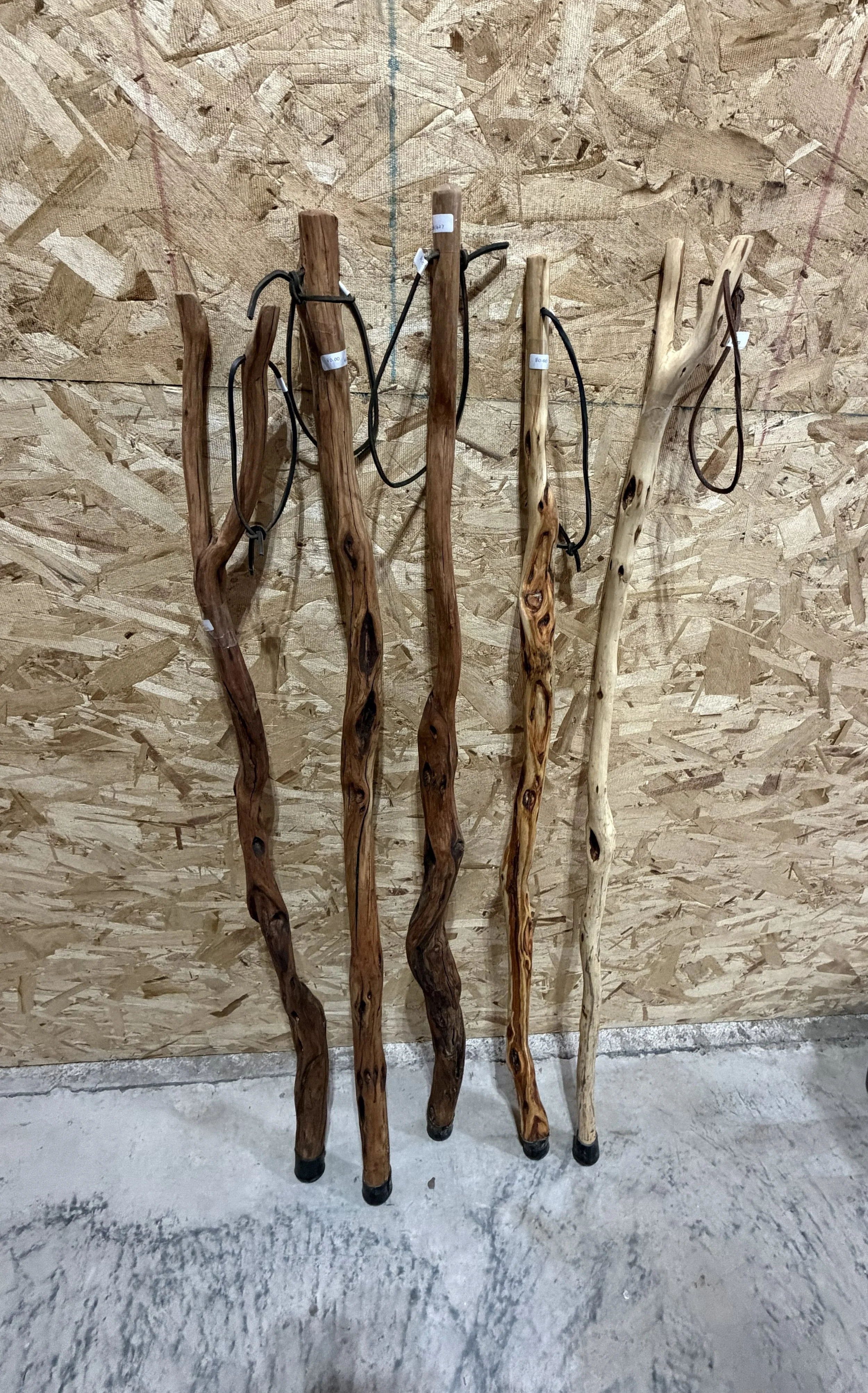 Extraordinary Figured Diamond Willow Walking/Hiking Sticks