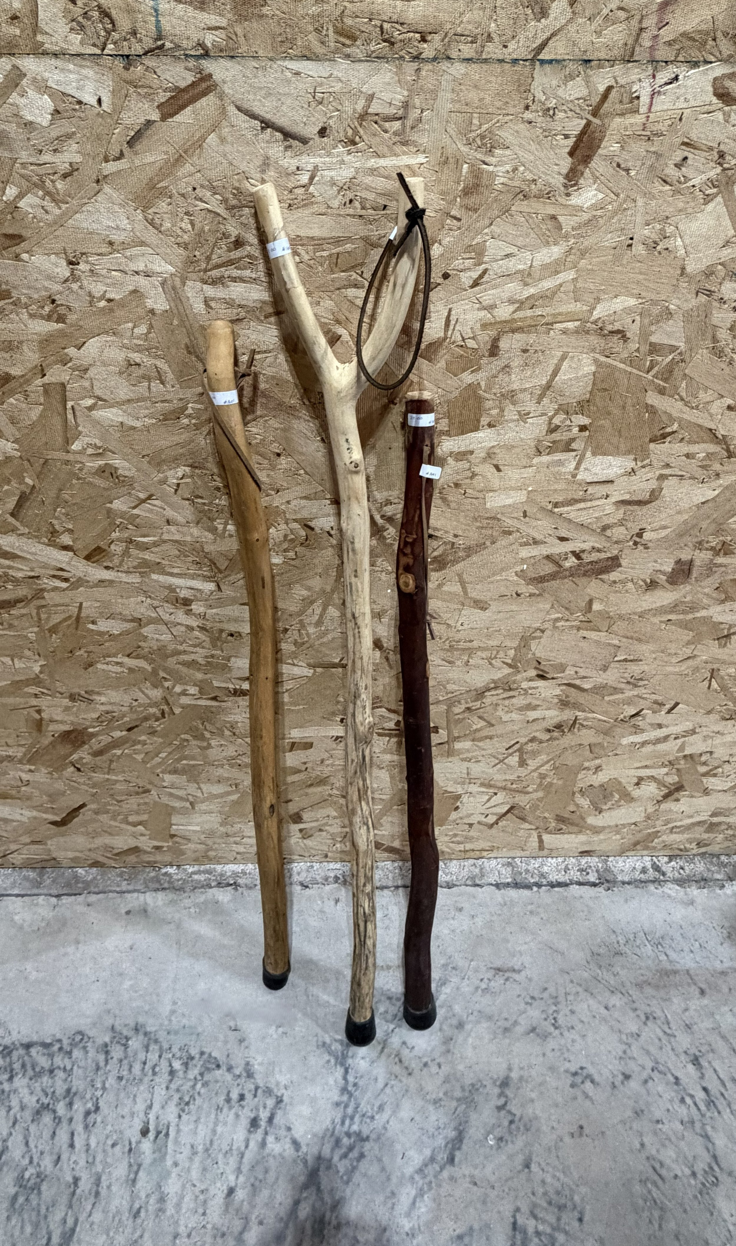 Shorter Walking/Hiking Sticks