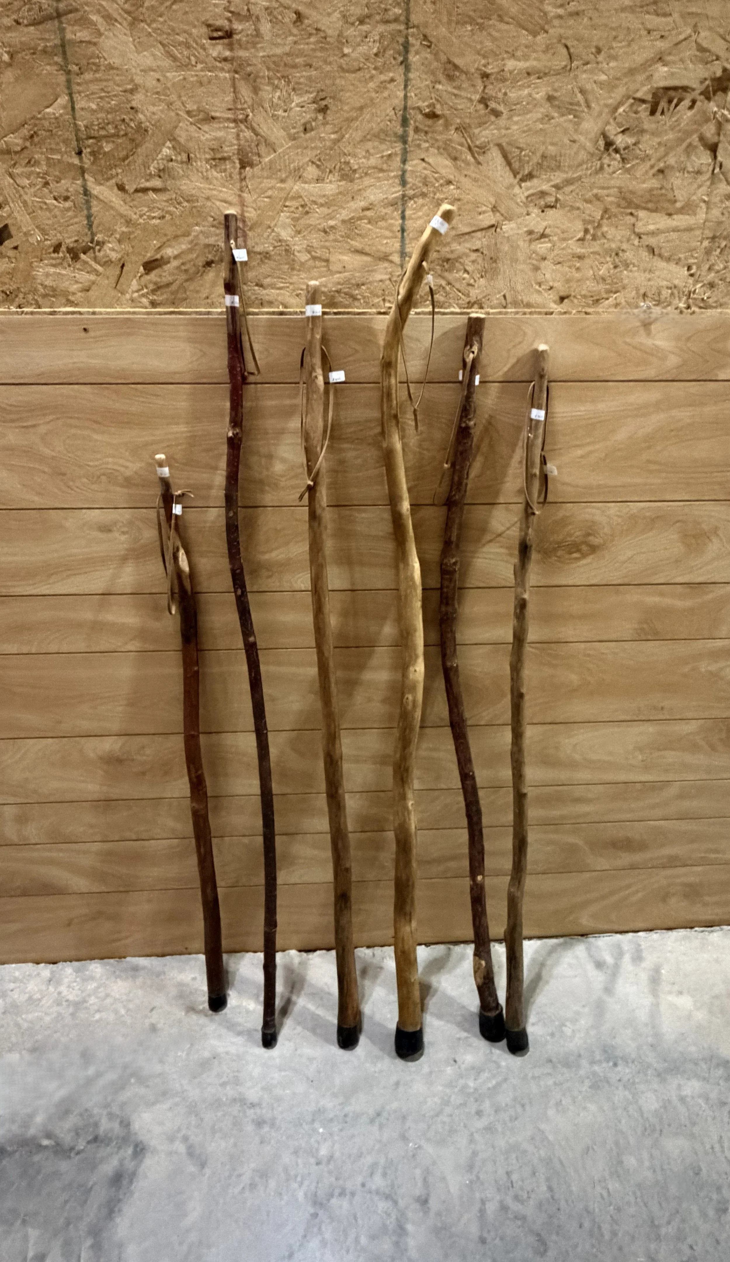 Walking/Hiking Sticks from Various Woods